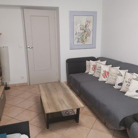 The Nice - 3 Rooms, 3Air Cond, 3Tv, 3Fans, 2 Wc, Wifi Everywhere 5Min Aeroport, Train, Beach, 1Min Tram, 15 Min Centre, Port, Parking Possible Kültér fotó